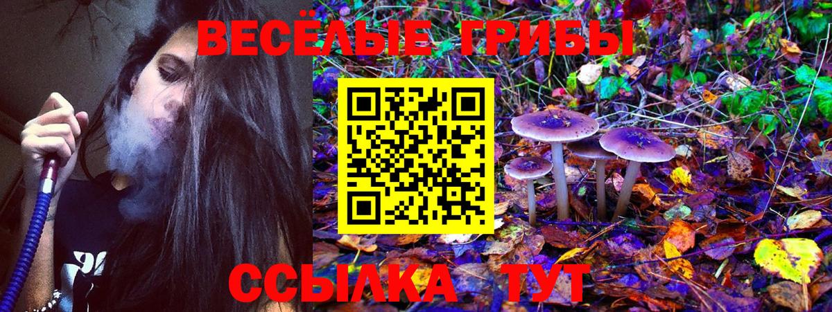 Галлюциногенные грибы MAGIC MUSHROOMS Шахты