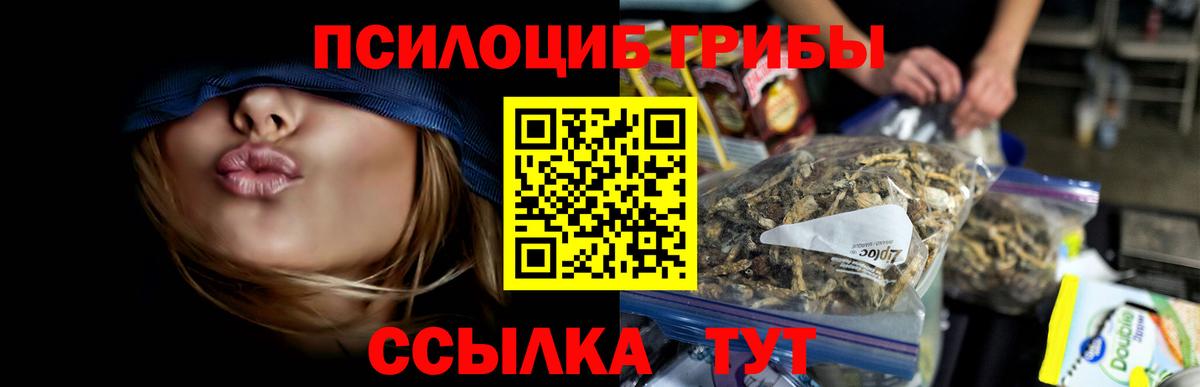 Шахты  где купить наркотик  Вход с VPN  Галлюциногенные грибы прущие грибы 
